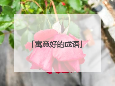 寓意好的成语