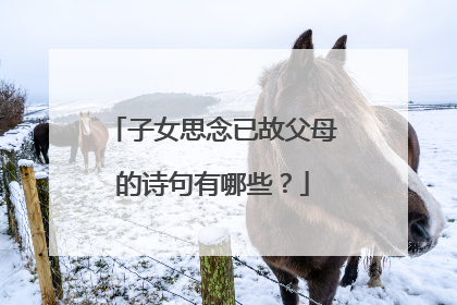 子女思念已故父母的诗句有哪些?