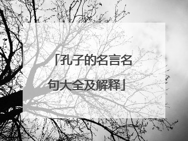 孔子的名言名句大全及解释