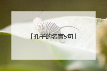 孔子的名言5句