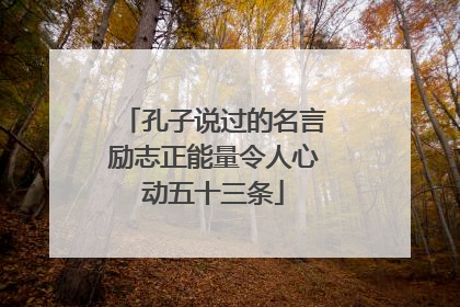 孔子说过的名言励志正能量令人心动五十三条