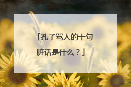孔子骂人的十句脏话是什么?