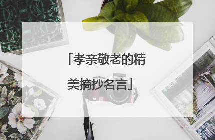 孝亲敬老的精美摘抄名言