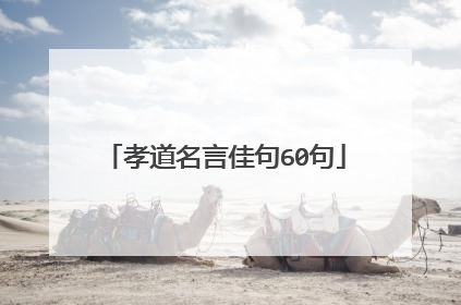孝道名言佳句60句