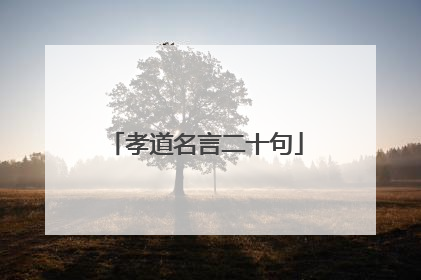 孝道名言二十句