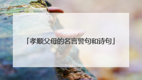 孝顺父母的名言警句和诗句