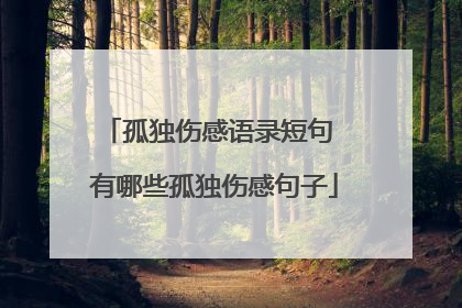 孤独伤感语录短句 有哪些孤独伤感句子