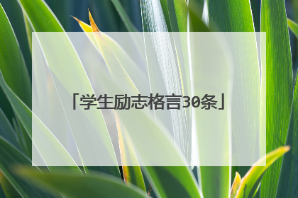 学生励志格言30条