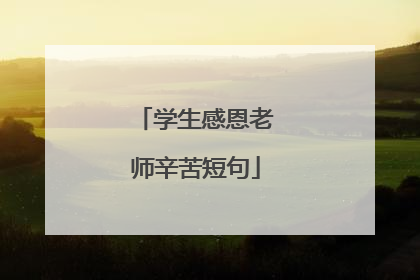 学生感恩老师辛苦短句