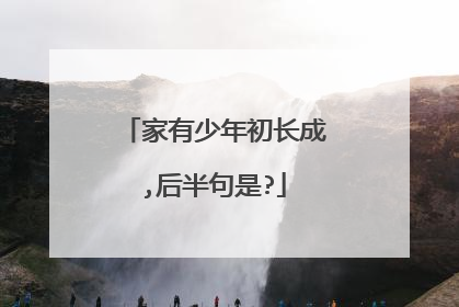 家有少年初长成,后半句是?