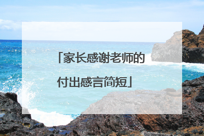家长感谢老师的付出感言简短
