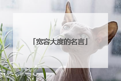 宽容大度的名言