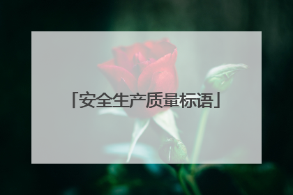 安全生产质量标语