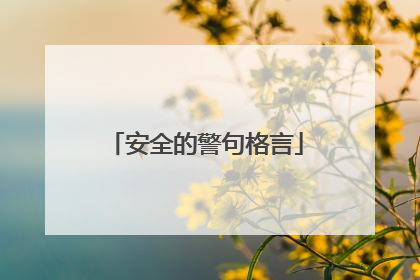 安全的警句格言