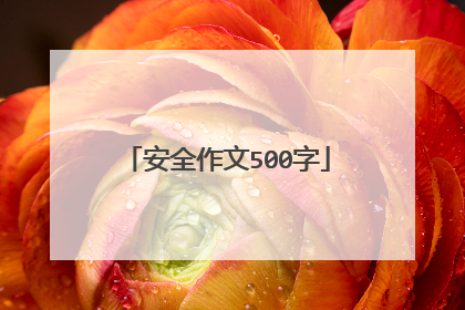 安全作文500字