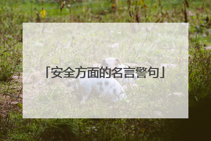 安全方面的名言警句