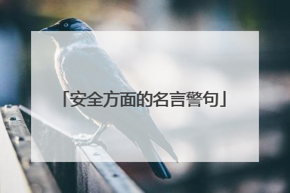 安全方面的名言警句