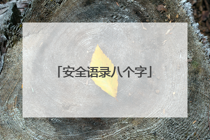 安全语录八个字