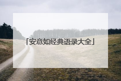 安意如经典语录大全