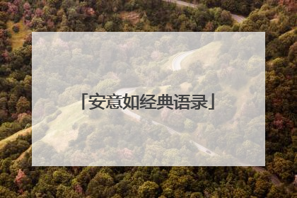 安意如经典语录