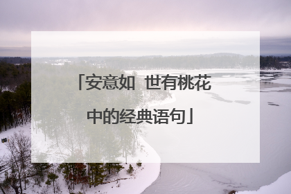 安意如 世有桃花 中的经典语句
