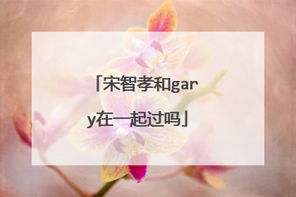 宋智孝和gary在一起过吗