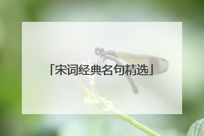 宋词经典名句精选