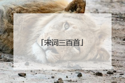 宋词三百首