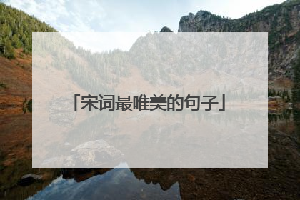 宋词最唯美的句子