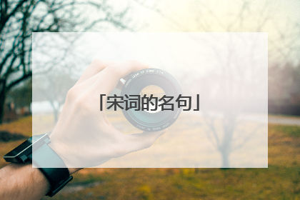 宋词的名句