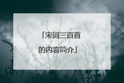 宋词三百首的内容简介