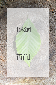 宋词三百首