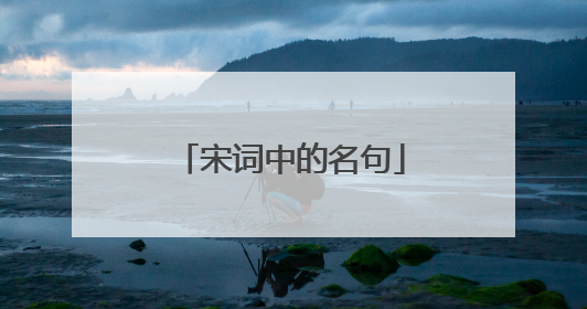 宋词中的名句