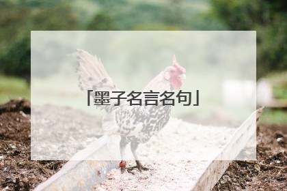 墨子名言名句