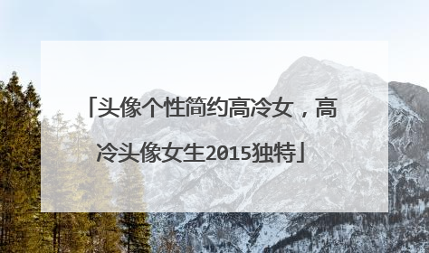 头像个性简约高冷女,高冷头像女生2015独特