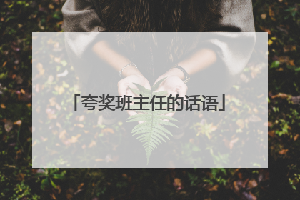 夸奖班主任的话语