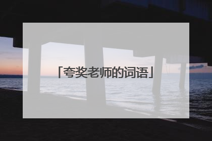 夸奖老师的词语