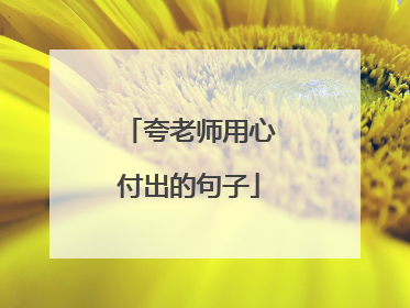 夸老师用心付出的句子