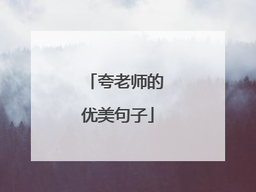 夸老师的优美句子