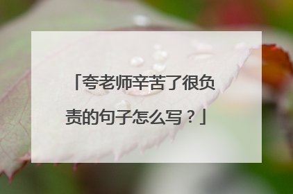 夸老师辛苦了很负责的句子怎么写?
