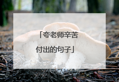 夸老师辛苦付出的句子