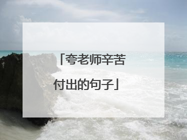 夸老师辛苦付出的句子