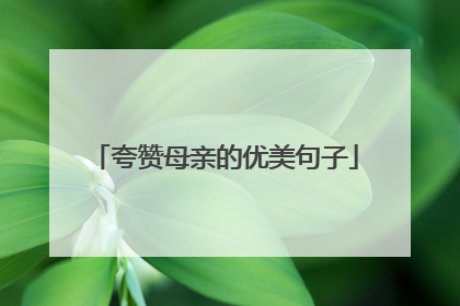 夸赞母亲的优美句子