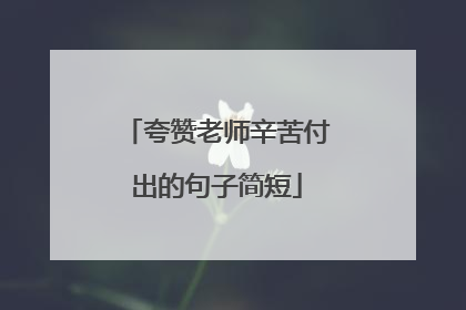 夸赞老师辛苦付出的句子简短