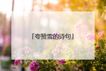夸赞雪的诗句