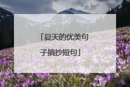 夏天的优美句子摘抄短句