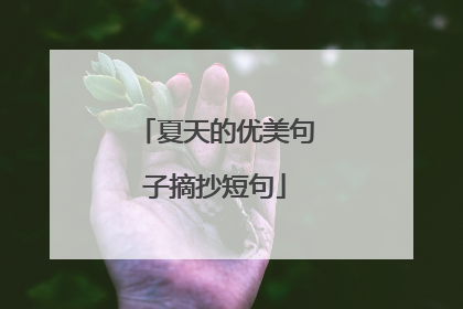 夏天的优美句子摘抄短句