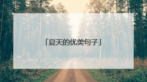 夏天的优美句子