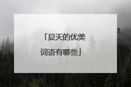 夏天的优美词语有哪些