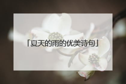夏天的雨的优美诗句